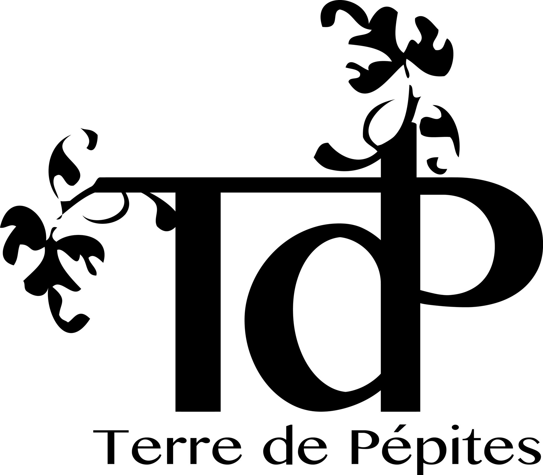 Terre de Pépites